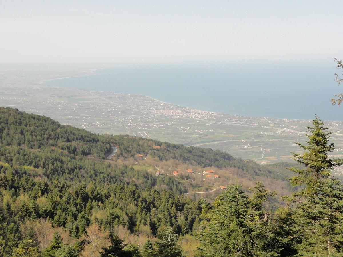 Sintrivanis Mountain Ano Skotina Luaran gambar